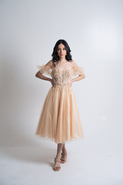 Vestido de Tul Midi - Champagne